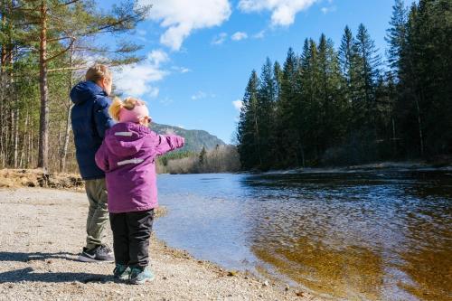 Hegna Camping - image 8