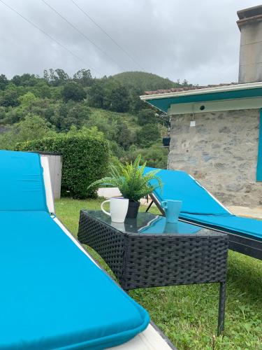 LA CASA AZUL, en plena naturaleza con Piscina, jardín, barbacoa, saltador y acceso al río Asón