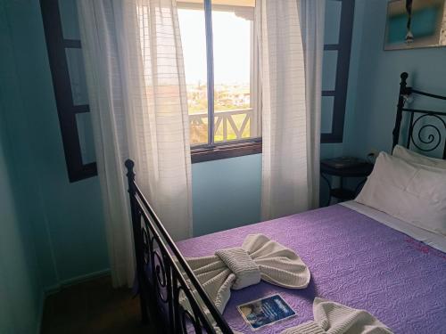  Apartments Karpetis a green paradise in Psakoudia