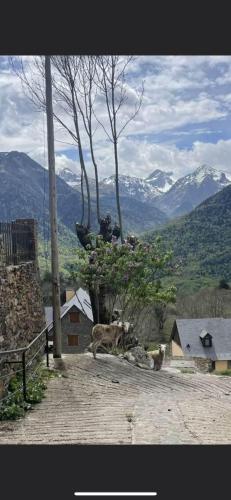 Zoe in Vilamos