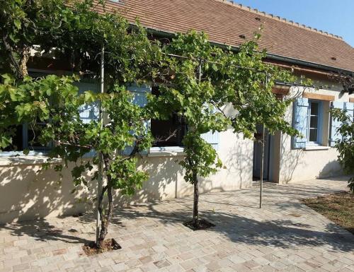 Les Annexes gîte à louer Verjux