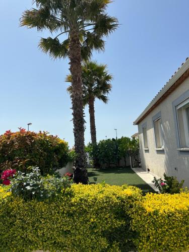 VILLA PISCINE DE LA GARRIGUE