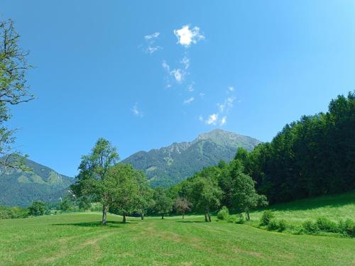 Tuvākā izklaides vieta, Kralj Matjaž - the green escape under Alps (Kralj Matjaz - the green escape under Alps) in Trstenik