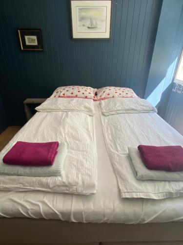 Stryn 3 bedrooms 2 bathrooms River view