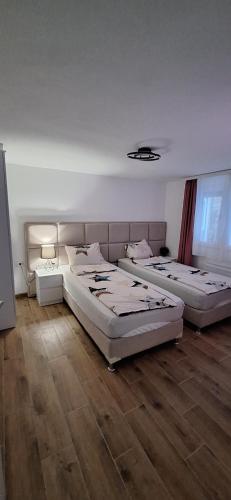 Apartman Živković - Apartment - Leskovac