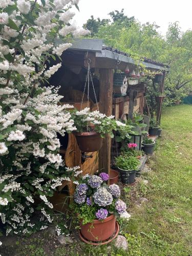 Na úpatí Pálavy Na úpatí Pálavy