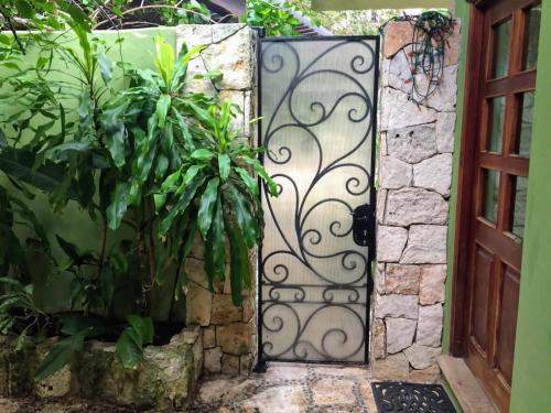 Casa Beard, Spacious Guest House with High Speed WiFi & Pool. in Playa del Carmen, Mexico