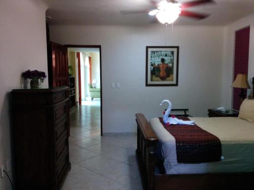Casa Beard, Spacious Guest House with High Speed WiFi & Pool. in Playa del Carmen, Mexico
