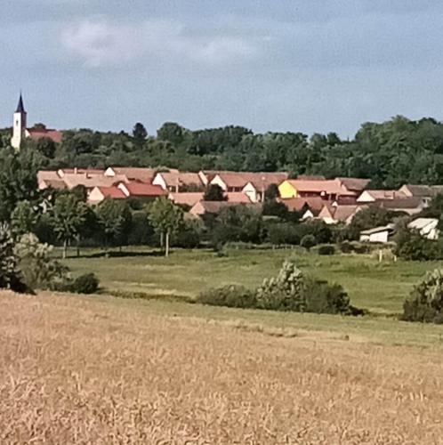 Apkārtne, Kiskassa Vendégház (Kiskassa Vendeghaz) in Palkonya