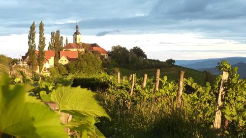 Wohlmuth-Lückl Wohlmuth-Lückl