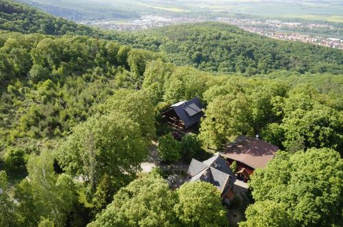 Naturtraum Georgshöhe - image 3