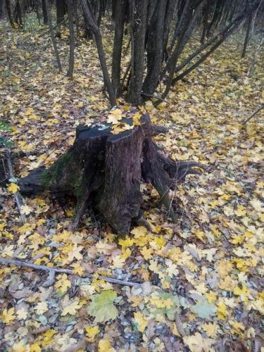 Apkārtne, Kiskassa Vendégház (Kiskassa Vendeghaz) in Palkonya