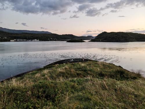Közeli látványosságok, Sokkelleilighet rett ved Saltstraumen in Saltstraumen
