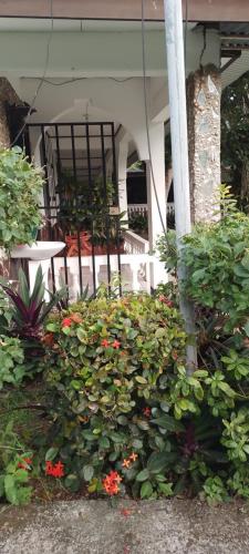 Cabinas Smith – Cahuita