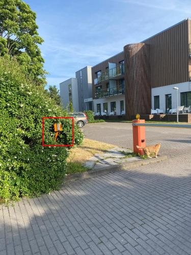 Aisa 39 Pärnu Apartment I Free parking Aisa 39 Pärnu Apartment I Free parking