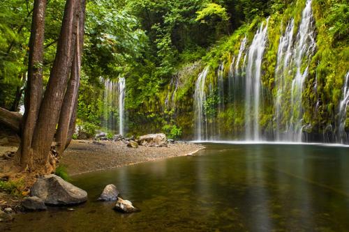 Come and Get your Love at Hikers Haven! Only 10 minutes from Mount Shasta-Pet Friendly