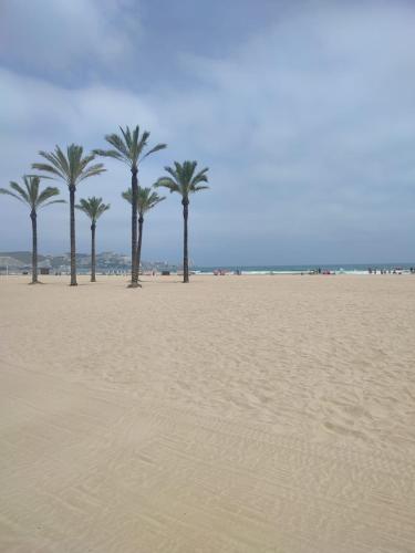 Entre el MAR y la COLINA - image 2