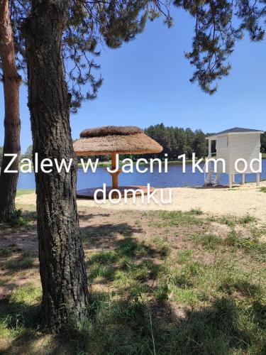 ROZTOCZE, Domek Na Leśnym Wzgórzu, Zwierzyniec, Krasnobród,Zamość (ROZTOCZE, Domek Na Lesnym Wzgorzu, Zwierzyniec, Krasnobrod,Zamosc) in Jacnia