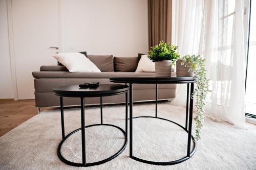 Apartma 2+2 v mestu Ljubljana (V325), Lublaň (fotografie 9)