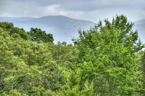 Fireside Lodge in Ellijay, USA