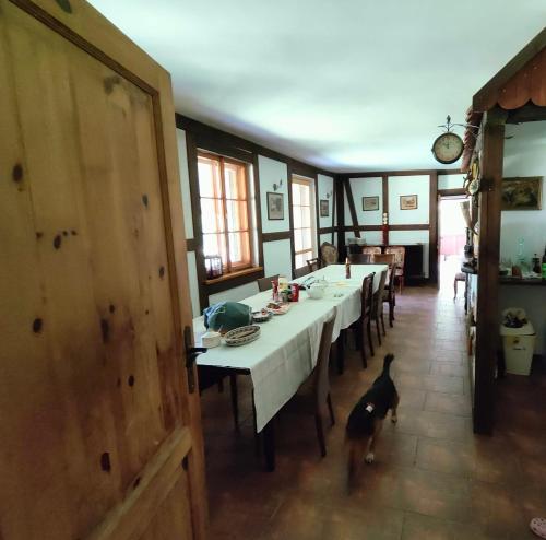 บริการและสิ่งอำนวยความสะดวก, Villa Stare Osieczno in ซาลอม