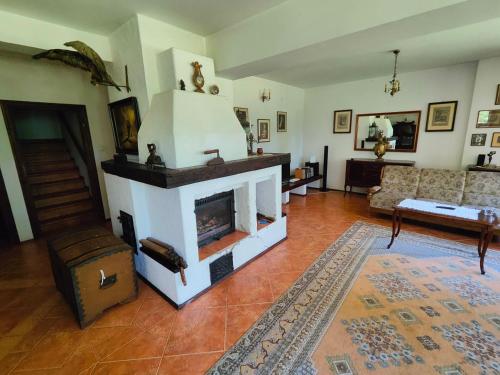 ห้องส่วนกลางสำหรับนั่งเล่น/ดูทีวี, Villa Stare Osieczno in ซาลอม