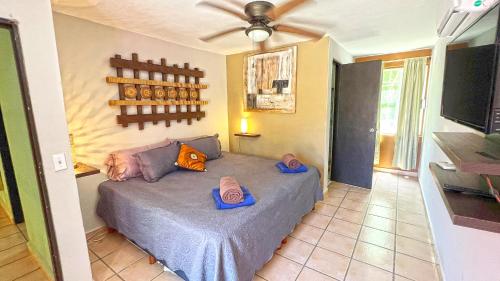 SUMMER SPECIAL !! House Carey2 Beachside area Puerto Morelos MX in Puerto Morelos, Mexico