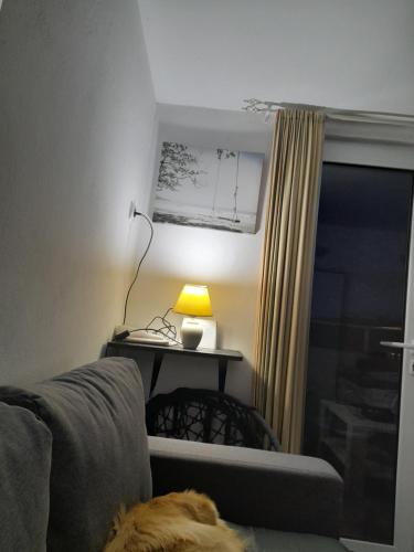 Apartmani Zora in Zagrade