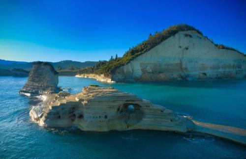 olivegrove - image 13