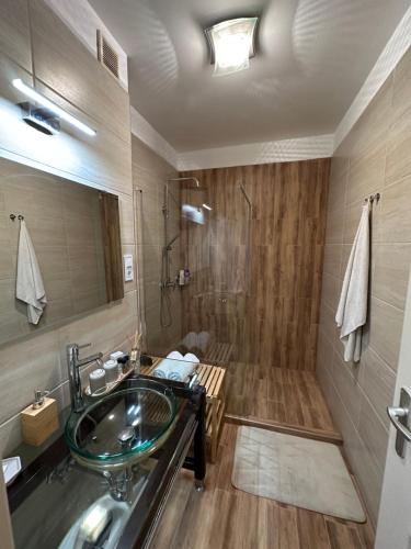 Centroom Apartment Budapest, Budapešť (fotografie 8)