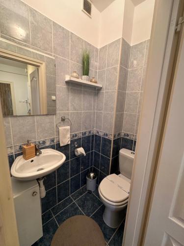 Centroom Apartment Budapest, Budapešť (fotografie 6)