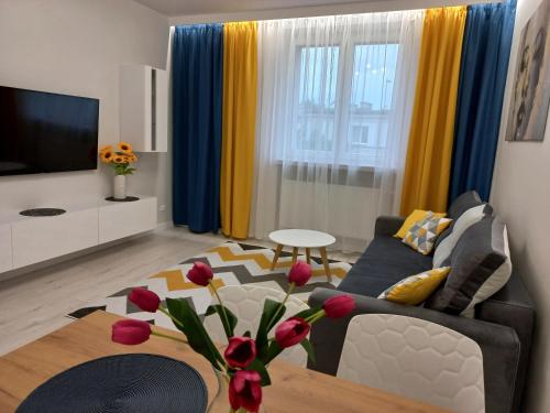 Apartament Dolores - Apartment - Rzeszów