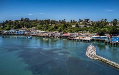 Surfer Dude - Anchor Pier Lodge