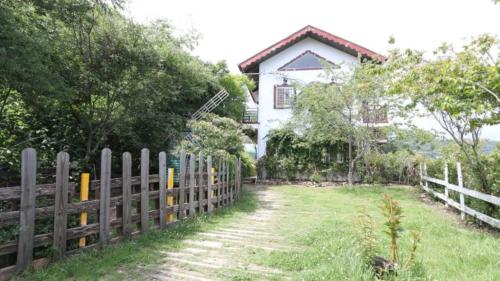 清境白熊屋民宿評價、特色體驗、寵物友善住宿與山景房價資訊 – 寵物友善與自然露營體驗 - 照片 4