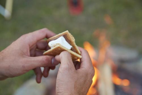 Tentrr - Bearkill Brook Campsite - image 12