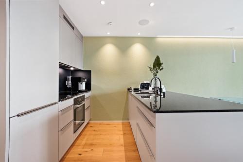  The R Apartment Uetliberg Parken - Wallbox in Geroldswil