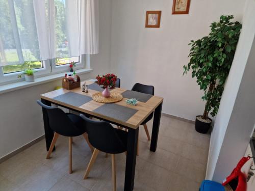 廚房, Apartmán U Petra (Apartman U Petra) in 卡羅維瓦利郊區
