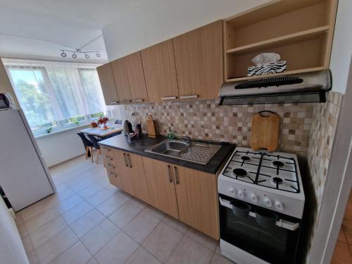 廚房, Apartmán U Petra (Apartman U Petra) in 卡羅維瓦利郊區
