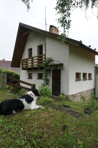 B&B Žár - Chata Žár - Bed and Breakfast Žár