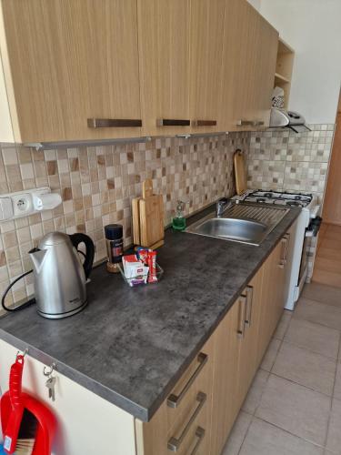 廚房, Apartmán U Petra (Apartman U Petra) in 卡羅維瓦利郊區
