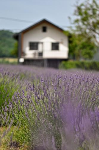 Vacation Home - NEST Kalnik