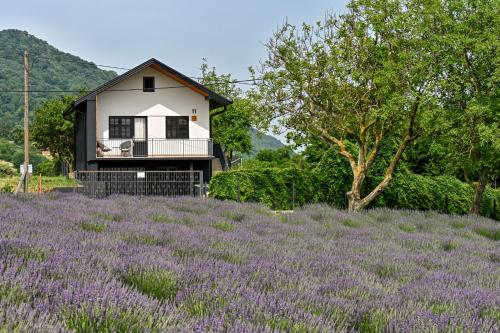 Vacation Home - NEST Kalnik