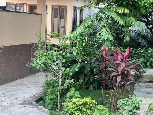 Vista exterior, Casa de Ferias in São Tomé
