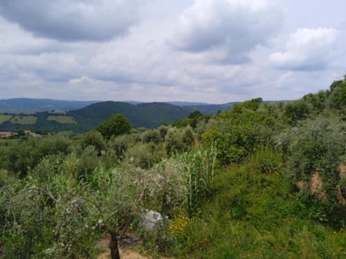 Casa vacanze in pietra Il Nibbio Reale