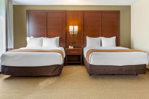 Comfort Suites Amish Country - image 6