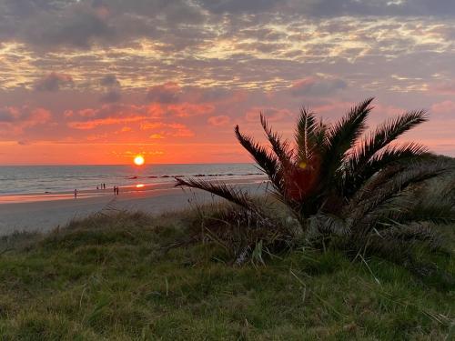 Apto. Playa Costa Ballena