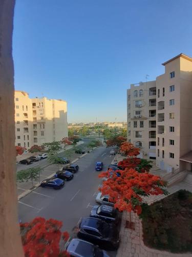 جراند هاوس مدينتى, Madinaty (foto 8)