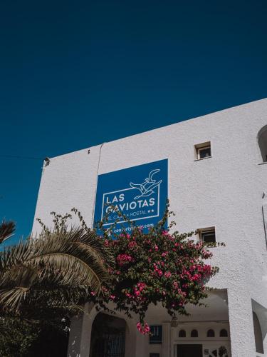 Hostal Las Gaviotas - image 8