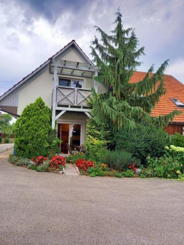 陽台/露台, Gemütliche Familienwohnung (Gemutliche Familienwohnung) in 蘭納赫