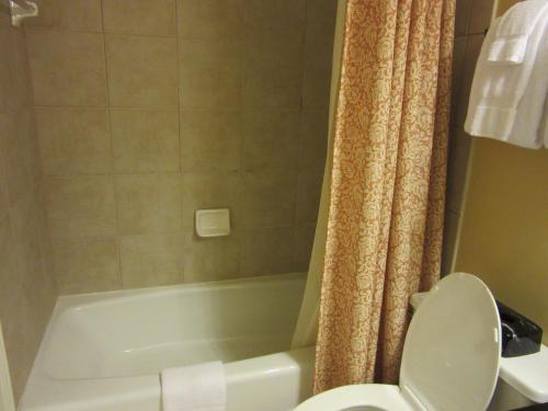 Hilton Vacation Club Lodge Alley Inn Charleston - image 3